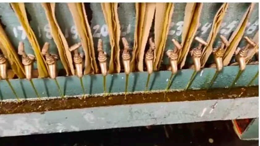 Oil running from the filter press taps