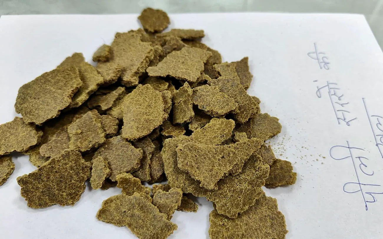 Mustard cake flakes, close up